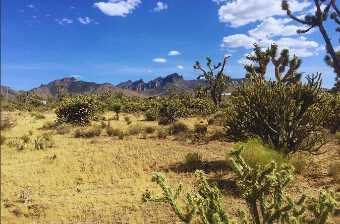 Mohave County - Dolan Springs, AZ Dolan Springs, AZ
